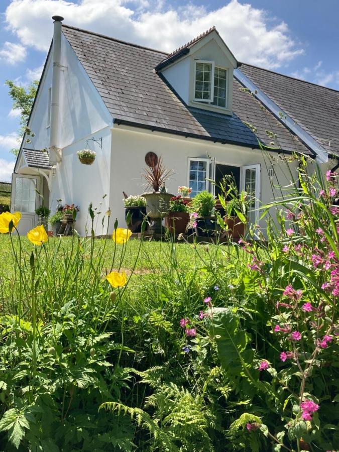 Cargibbitt Annexe Villa Liskeard Luaran gambar