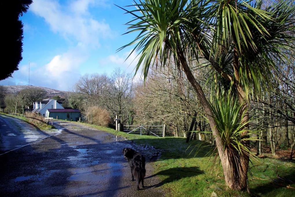 Cargibbitt Annexe Villa Liskeard Luaran gambar