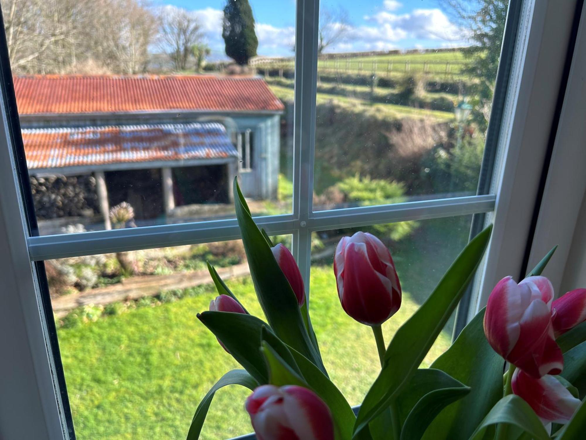 Cargibbitt Annexe Villa Liskeard Luaran gambar